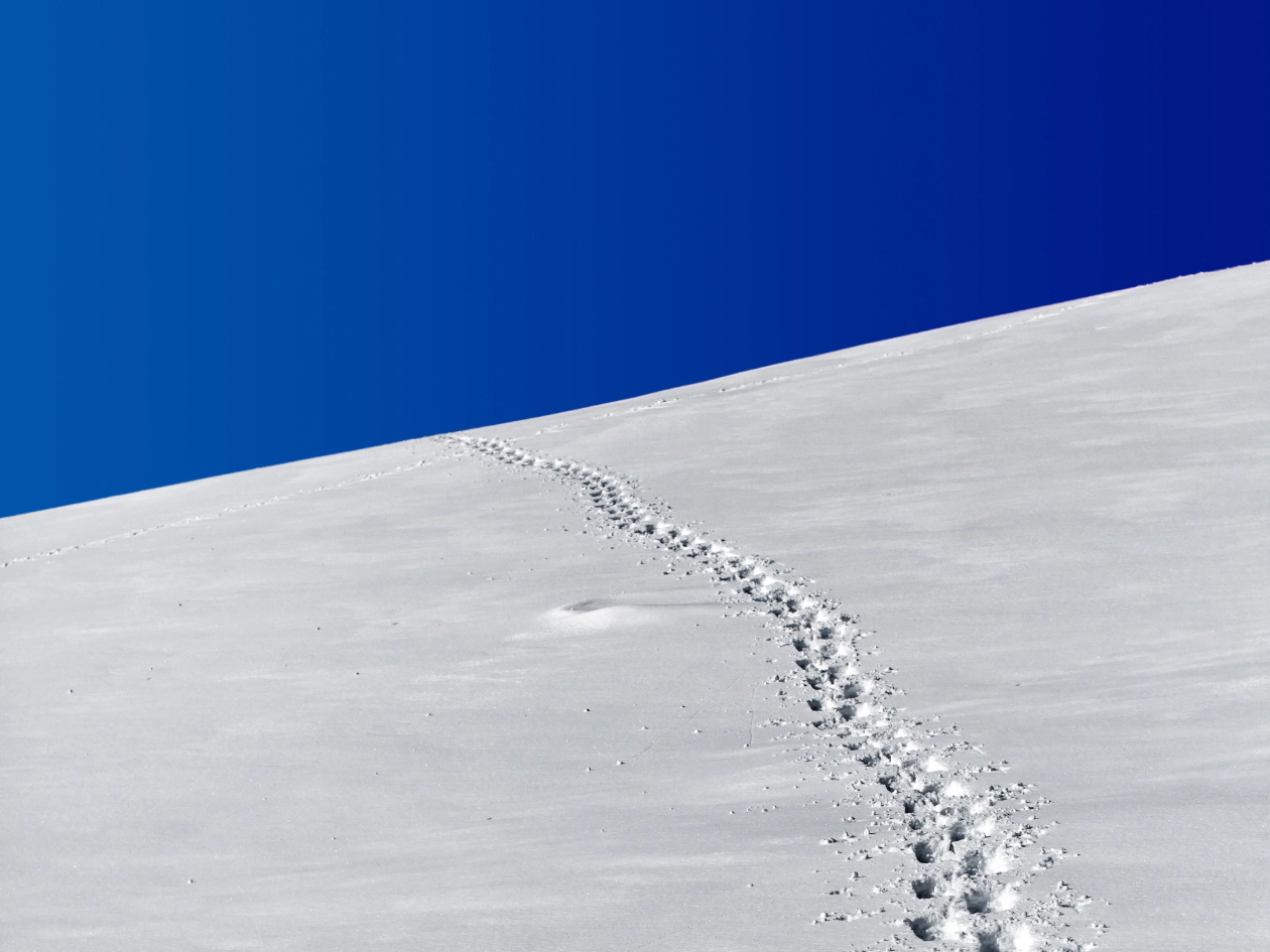Una traccia di passi nella neve che sale verso l’orizzonte